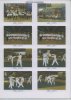 2003-Photo quadrettes Grenoble 05