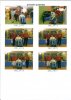 2003-Photo quadrettes Grenoble 16